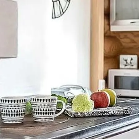 Raivio Holiday home
